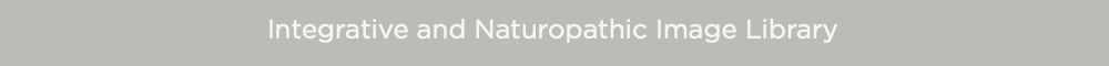 Integrative and Naturopathic Image Library